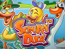 Scruffy Duck – онлайн автомат официального сайта Вавада